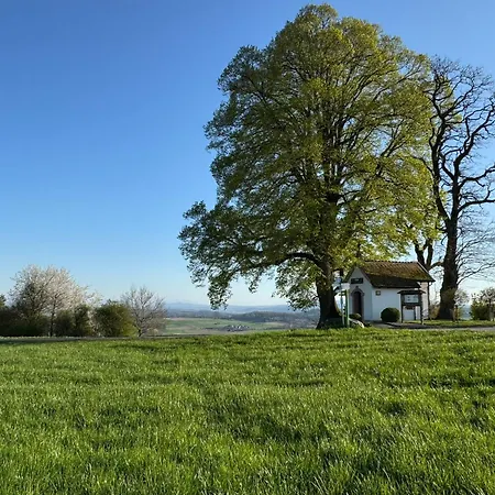 וילה Spacious With Alpine Views Dettighofen (Waldshut)